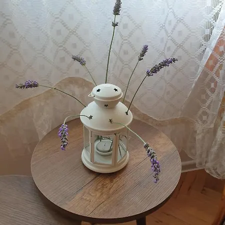 Boho Chic Free Parking Apartman Várna