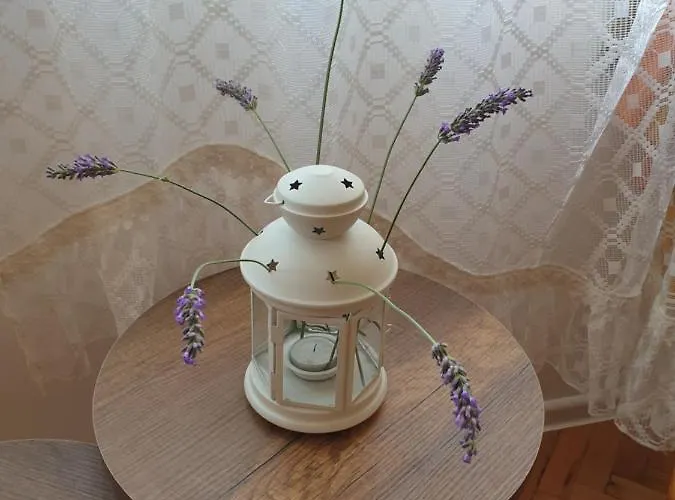 Boho Chic Free Parking Apartment Varna